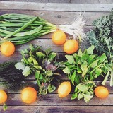 The Little Acre - Garden Services/Maintenance in Oakland