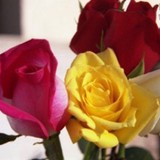 Four Seasons Flowers & Gifts - Florists in Los Angeles