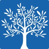 Blv Insurances Service - Insurance in Fremont