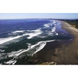 Tab & Assoc - Other in Crescent City