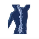 Springtown Chiropractic - Chiropractors in Livermore