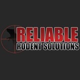 Reliable Rodent Solutions - Business Consulting in Pleasant Hill