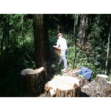 Cutting Edge Tree Service & Sltns - Other in McKinleyville