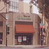 East Bay Flower CO - Florists in Danville