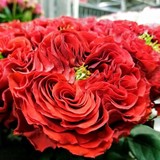 Orinda Florist - Other in Orinda