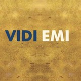 Vidi Emi - Business Consulting in San Leandro
