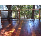 Speedyclean Painting - Cleaning Services in Paradise