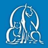 Abbey Pet Hospital - Veterinarians/Vets in El Cerrito