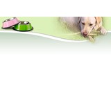 North Gate Kennels & Cattery - Pet Services in Walnut Creek