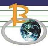 Bay Systems Consulting Inc - Web Design & Development in Union City