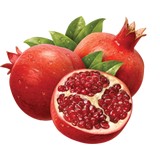 Meyer Valley Farms LLC - Manufacturer in Stratford