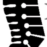 Davis Chiropractic - Chiropractors in Clovis