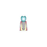 Jain Sambhav N DDS - Dentists in Fremont