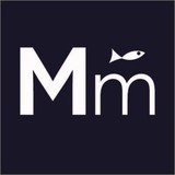 MIGHTYminnow Web Studio & School - Web Design & Development in Oakland