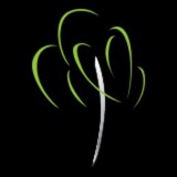 Willow Dental Group - Dentists in Fresno