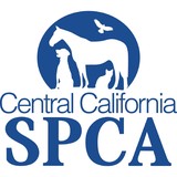 S P C A Thrift Shop - Home Security Systems in Fresno