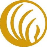 Nami - Counseling & Mental Health in Fresno