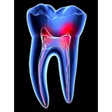 Gelle Gerald DDS - Dentists in Alameda