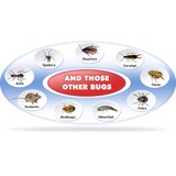 Bakersfield Pest Control - Pest Control in Bakersfield