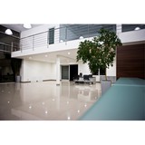 Chela Janitorial Services, Inc - Other in Martinez