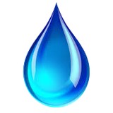 Nimbus Pond Inc - Other in El Dorado Hills