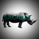 SAGIL Designs - Graphic Design in Fremont