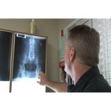 Douglas Herting Dc - Chiropractors in Walnut Creek