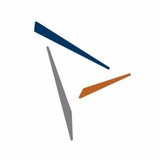 Newcogen Group Inc - Business Consulting in Alameda