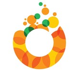 Citrusbits inc - Web Design & Development in Pleasanton