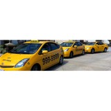 Yellow Express Courier - Taxis & Mini Cabs in Pleasanton