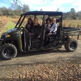 David Girard Vineyards - Other in Diamond Springs