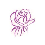 Woman's Personal Health - Other in Shingle Springs
