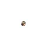 Shingle Springs Tribal Gaming Authority - Other in Placerville