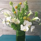 Blooming Alley Florist - Florists in Berkeley