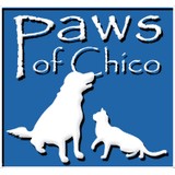 Paws Mike Chestnut Spay Neuter - Other in Oroville