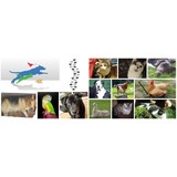 Priceless Pet Sitting - Other in Shingle Springs