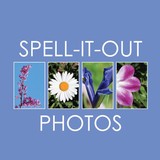 Spell It Out Photos - Other in Moraga