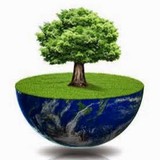 Hercules Tree Service and Landscape Construction - Tree Services in Hercules