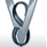 Vertisystem Inc - Software Development in Fremont