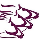 Neigh Savers Foundation Inc - Business Consulting in Walnut Creek