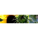 Studio B Haircare - Other in Placerville