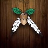 Jackson Rancheria Tribal Gvrn - Hotels in Jackson