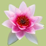 Du Bunne Day Spa & Massage Center - Hair Salons in Torrance