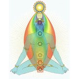 Kashani Shirin - Nutritionists in Santa Monica