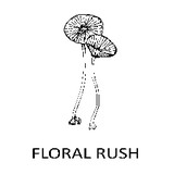 Floral Rush - Florists in Los Angeles