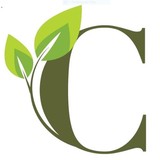 CTI Environmental, Inc. - Business Consulting in Long Beach