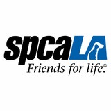 Spca-LA South Bay Pet Adptn - Animal Shelters in Hawthorne