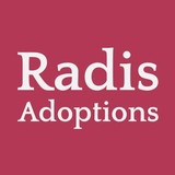 David J Radis Law Offices - Adoption Services in Los Angeles
