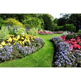 Corona Artscaping - Landscaping in Los Angeles