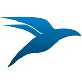 Bird Eagle Eye Control - Pest Control in Carson